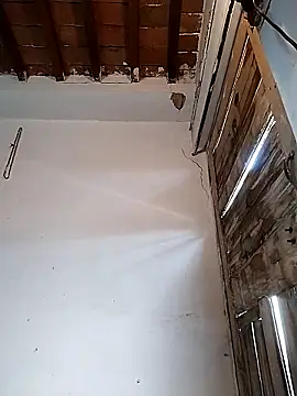 PunjabiSardarBull online show from March 22, 2026, 5:00 am