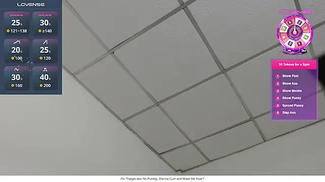Snapshot of Busty-Thaiger chatting on June 1, 2026, 6:53 pm Busty-Thaiger online show from June 1, 2026, 6:53 pm