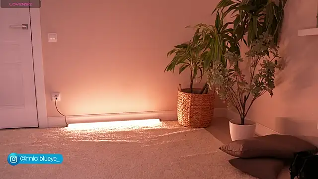 Miablueye online show from November 20, 2025, 3:12 pm