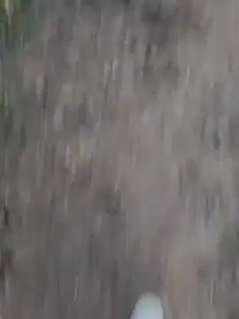 Sonia66w online show from October 1, 2025, 12:49 am