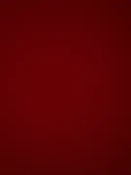 bananasex204 online show from May 14, 2026, 2:13 pm