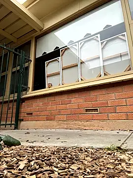 Stelan690 online show from October 19, 2025, 5:41 am