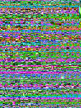 bao-boi online show from September 20, 2025, 6:25 am