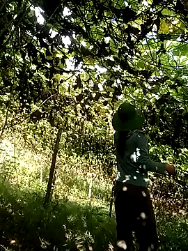 Snapshot of ngan-cute chatting on October 18, 2025, 1:30 am ngan-cute online show from October 18, 2025, 1:30 am