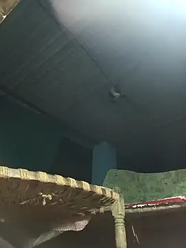 Hot-honi online show from November 10, 2025, 11:04 pm