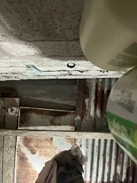 Snapshot of SaraBust chatting on April 7, 2026, 4:24 am SaraBust online show from April 7, 2026, 4:24 am