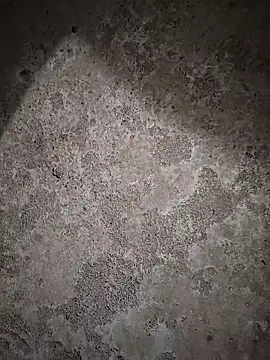 Snapshot of sexy__girls98 chatting on February 6, 2026, 11:46 am sexy girls98 online show from February 6, 2026, 11:46 am