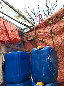 liu-liusexy online show from February 19, 2026, 8:21 am