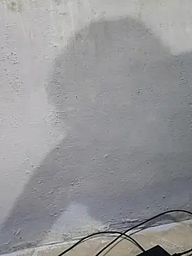 umashreetamil online show from September 26, 2025, 1:48 pm