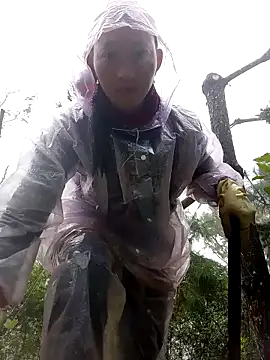 tcm-cute online show from November 2, 2025, 7:33 am