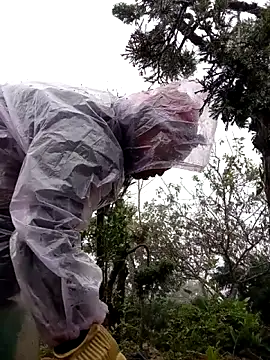 tcm-cute online show from November 3, 2025, 8:04 am