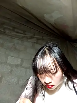 tcm-cute online show from November 25, 2025, 12:49 pm