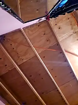 Eljilipoyas69 online show from November 14, 2025, 4:22 am