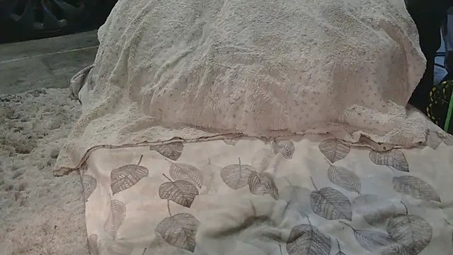 Gmajor online show from March 15, 2026, 12:38 am