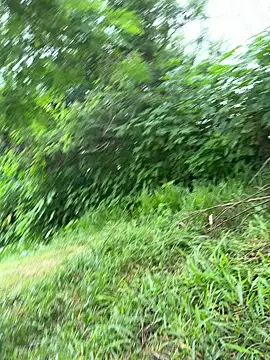 magraocam online show from March 19, 2026, 2:21 pm