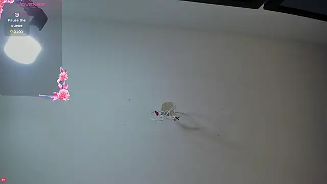 Ashleymorgan vc online show from September 16, 2025, 8:21 pm