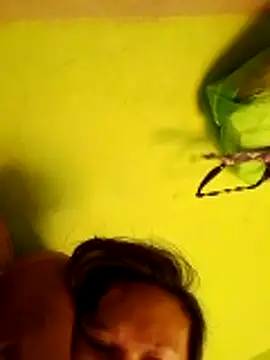 pussywet 08 online show from May 31, 2026, 11:17 pm