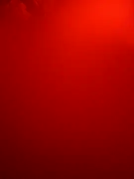 Dropdingo online show from October 9, 2025, 10:13 am