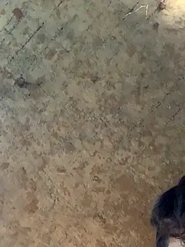 uniquesexyboy5689 online show from November 27, 2025, 10:50 am