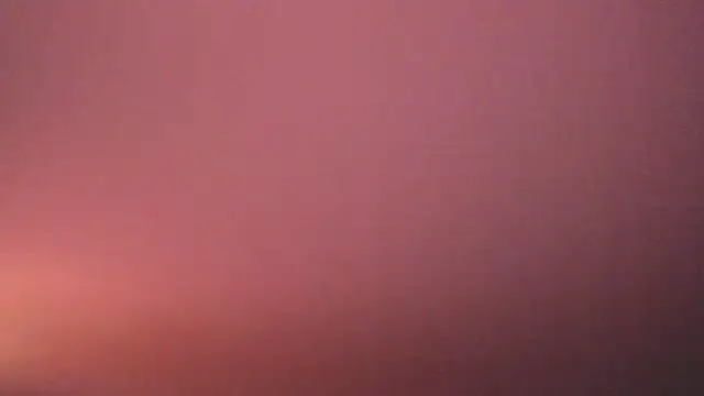 annie bell   online show from October 21, 2025, 12:28 pm