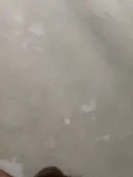 Snapshot of Doggy8668 chatting on March 3, 2026, 7:42 pm Doggy8668 online show from March 3, 2026, 7:42 pm