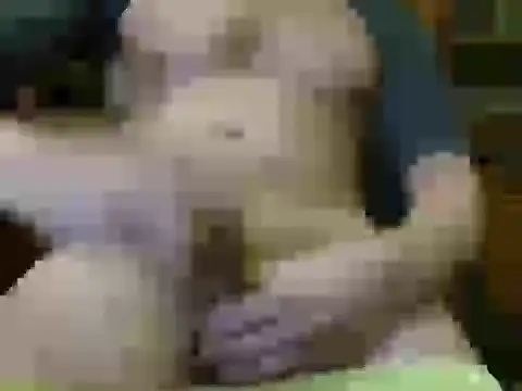 italian max sex online show from November 21, 2025, 11:25 pm