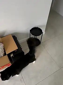 aussiepeaches online show from April 6, 2026, 1:25 am