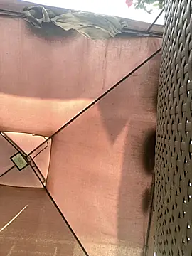 Adele Pinkk online show from November 29, 2025, 11:57 am