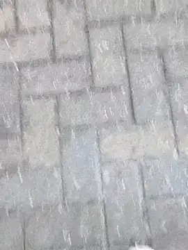 boxerundsocken91 online show from March 9, 2026, 5:17 pm