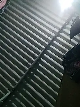 Tamilgud23 online show from November 16, 2025, 4:23 pm