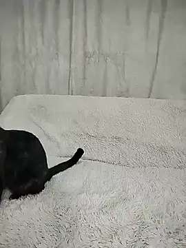 Layla fontainex x online show from September 29, 2025, 1:49 pm