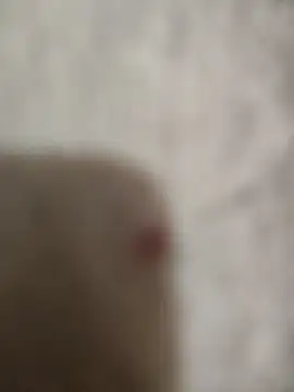 sert erkekk online show from January 13, 2026, 9:42 pm