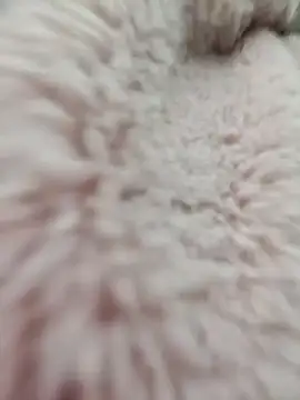 Tin tanny online show from January 15, 2026, 12:59 am