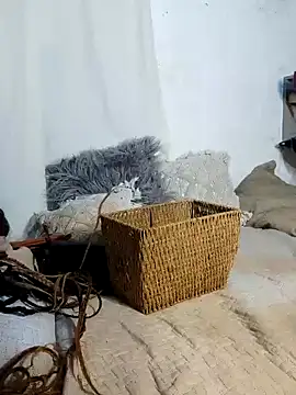 Gatithaaa online show from February 3, 2026, 2:21 am