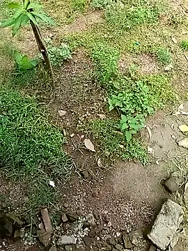 Rahul Razz online show from October 4, 2025, 7:06 am