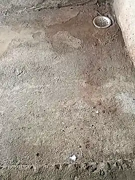 Rahul Razz online show from October 6, 2025, 1:58 am