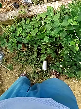 Rahul Razz online show from October 21, 2025, 1:06 am