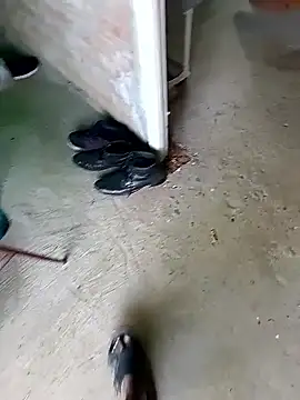 Rahul Razz online show from November 8, 2025, 6:24 am