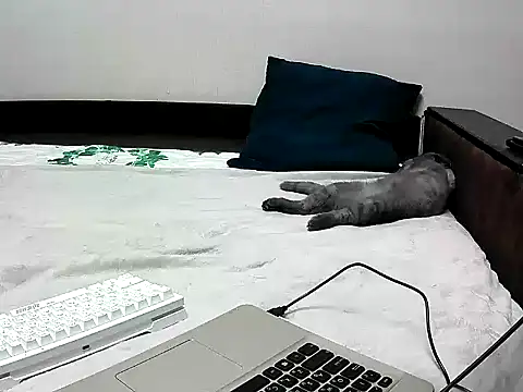 black lany online show from September 22, 2025, 2:41 pm