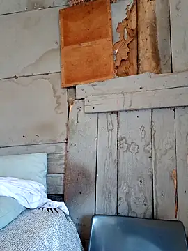 SeductiveDick1997 online show from March 19, 2026, 8:18 am