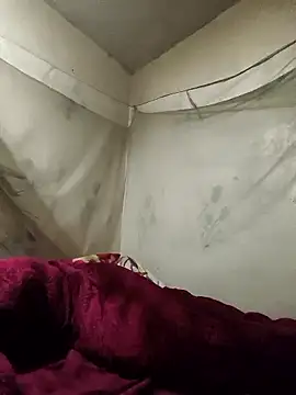 siki-00 online show from January 7, 2026, 2:52 pm