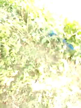 bigdaddyboy46 online show from November 11, 2025, 6:13 am