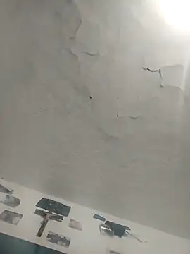 Ferxxxo1503 online show from December 2, 2025, 5:02 am