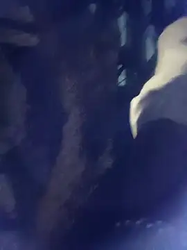 Snapshot of 8133vaibhavh chatting on October 3, 2025, 2:03 pm 8133vaibhavh online show from October 3, 2025, 2:03 pm