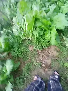 kemtuoi-sex online show from January 17, 2026, 10:31 am