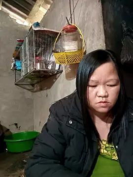 riso-00 online show from January 9, 2026, 6:49 am