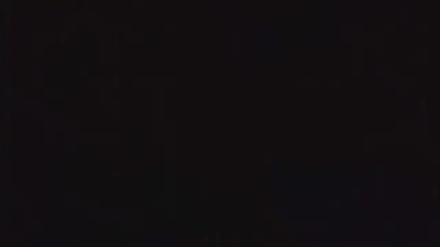 SienaWild online show from December 22, 2025, 5:32 pm