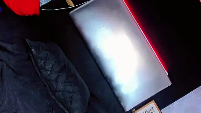 daniela dolls online show from November 13, 2025, 11:20 am