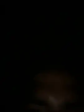 RangingWarranty online show from April 3, 2026, 10:35 am