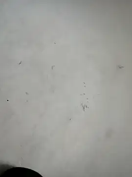 ndon63421 online show from October 3, 2025, 2:58 pm